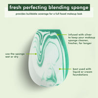 Travel Perfecting Sponge Makeup Blender with Case