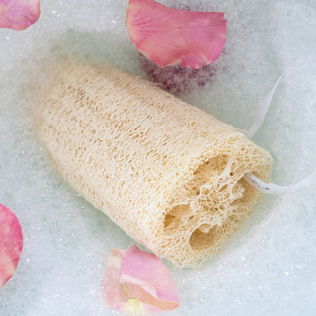 Loofah Body Sponge