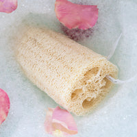 Loofah Body Sponge
