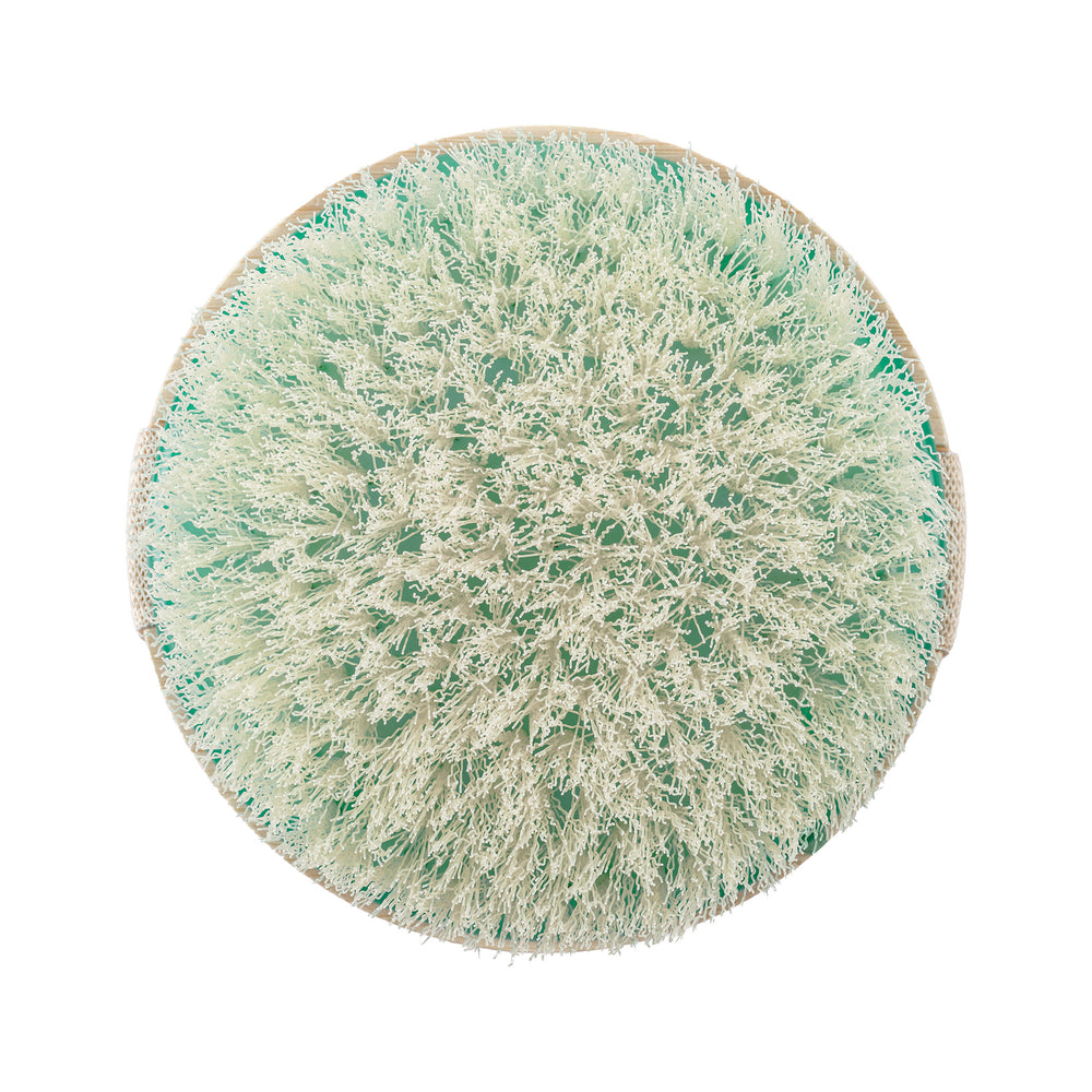 Dry body brush head with green-tinted exfoliating fibers in a circular shape