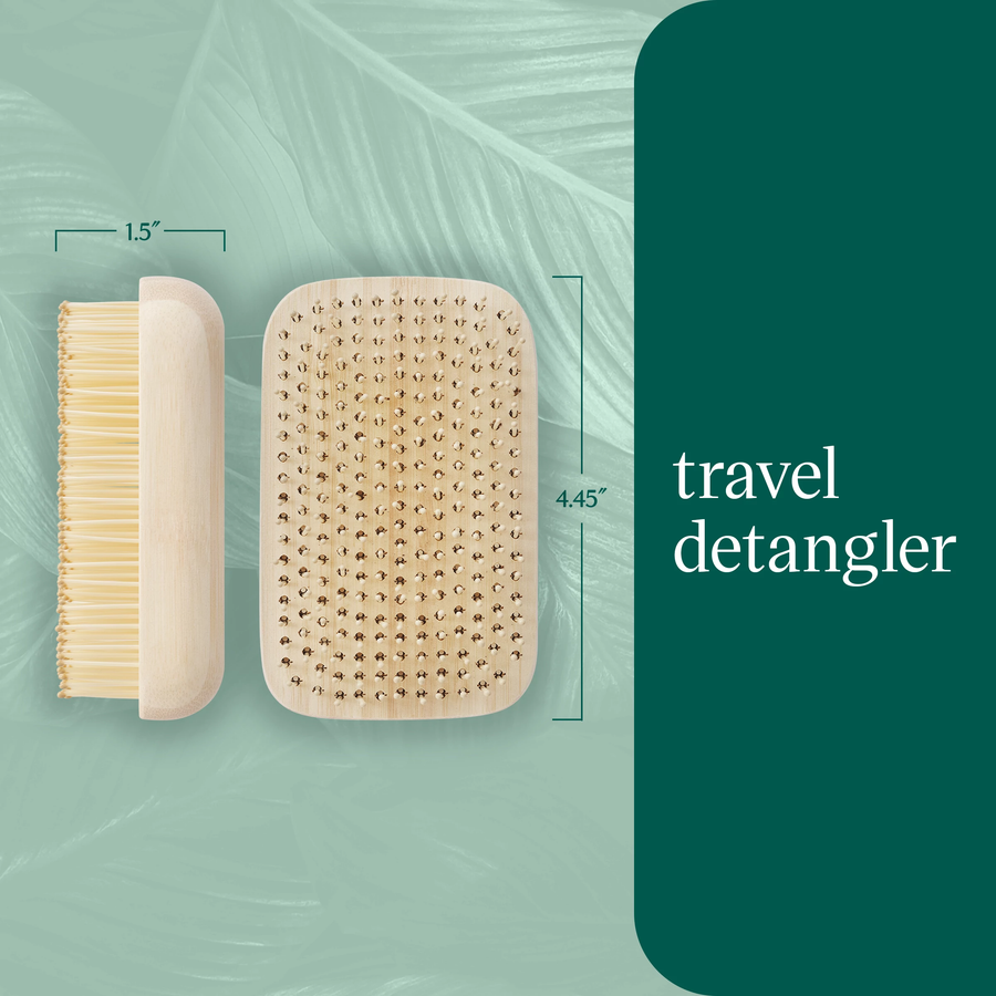 Detangle Tools EcoTools Travel Detangler Hairbrush, Gently Detangle & Smooth Hair ...