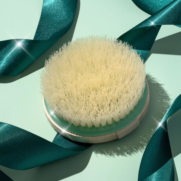 Round dry body brush head with soft beige fibers in a circular holder