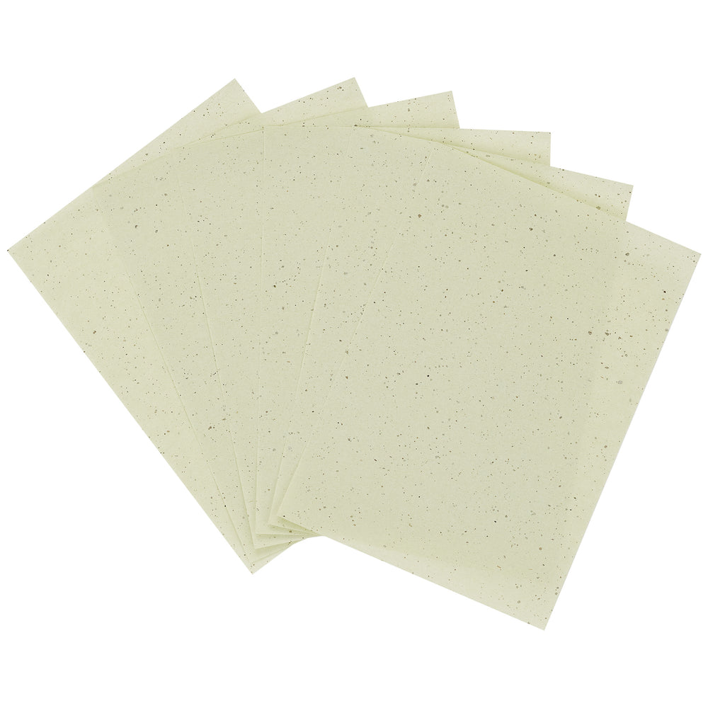 Facial Blotting Papers