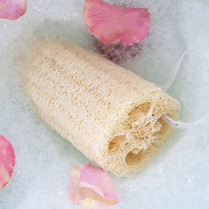 Loofah Body Sponge